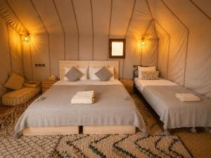 All Inclusive Desert Overnight With Camel Ride