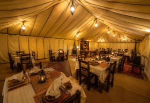 All Inclusive Desert Overnight With Camel Ride