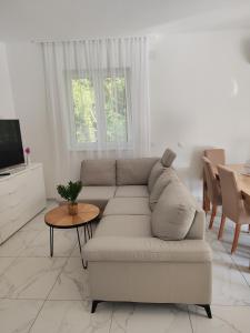Apartment Zain Nedescina