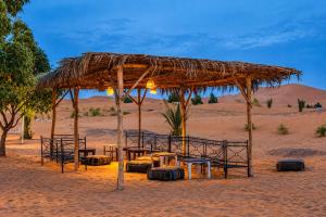 Exploring best Luxury camp