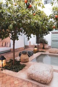 Hidden boutique Riad - heated rooftop plunge pool