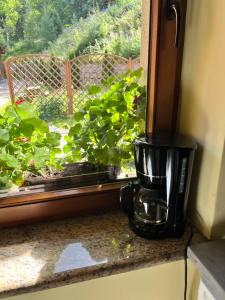 Apartament 12 Willa Józefina