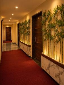 Hotel M S GRAND