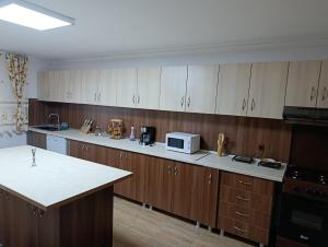 Cabana Dany Colibița