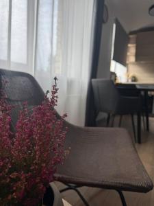 Cozy Center Apartment