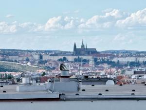 Prague Castle View Apartment