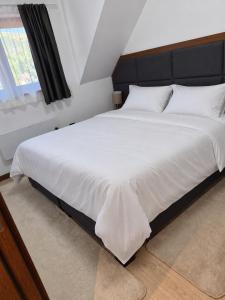Apartmani DEA Zoned Kopaonik