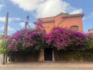 Beautiful home