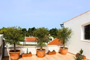 Villa Pinheirinhos - Enjoy the Nature & Wild Beaches of Sesimbra!