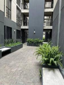 Hermoso departamento completo - 2 habitaciones,3 camas - 5 minutos de estadio GNP y Palacio Deportes