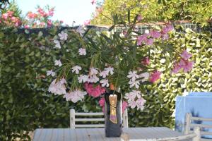 Miramare struttura sulla spiaggia img25