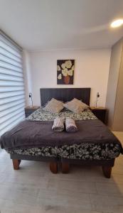 Apartamento de 1D1B en Santiago Centro