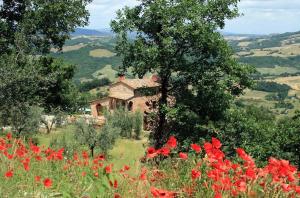 Azienda agricola podere La Colombaia