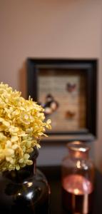 Appartements Bubble 8 : photos des chambres
