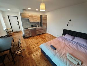 Klaipedas Apartment