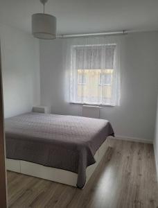 Cozy Apartment Rivno