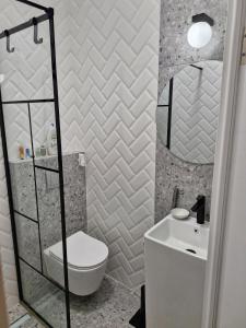 Modern Downtown Cluj Apartment