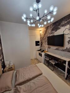 Modern Downtown Cluj Apartment