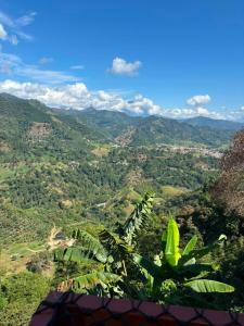 Glamping Coordilleras del Café