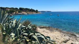 Sea View Apartment near Beach with Private Garden & Parking