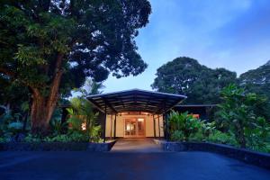 The Falls at Reeds Island: Luxury Waterfall Oasis