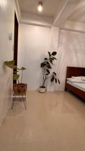 Babe Maison Transient House