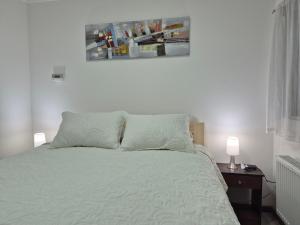 cabaña 8