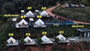 Morning camp