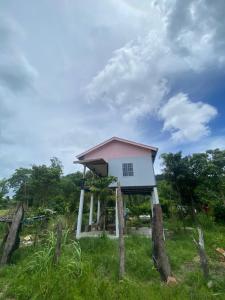 FIREFLY JUNGLE Bungalow