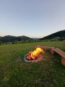 Tęczowe Wzgórze Bieszczady III 887 - 507 - 298