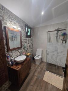 Newly Renovated House in Beautiful Nature
