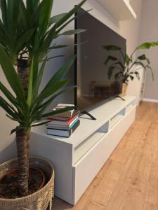 Medicka Garden Suite