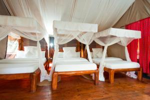 Roika Tarangire Tented Lodge
