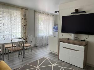 SV Apartment
