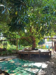 Alis Acre- Farm Eco Lodge