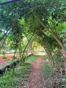 Alis Acre- Farm Eco Lodge