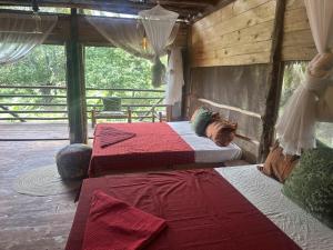 Alis Acre- Farm Eco Lodge