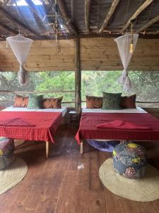 Alis Acre- Farm Eco Lodge