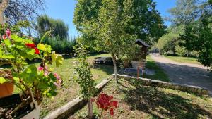Casa de la tara