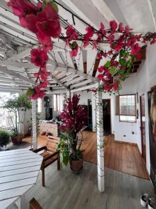 Apartamento cerca a Costa 21 y Arena San Miguel