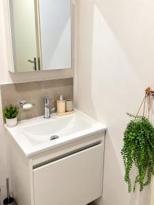Alora Apartment