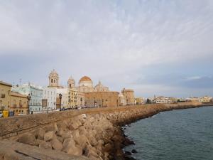 Alameda by Gades Gestión