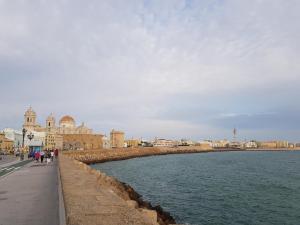 Alameda by Gades Gestión