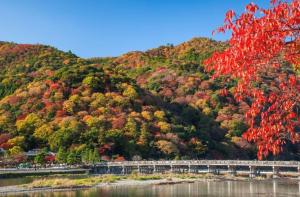 301 家族旅行に最適な新築ステイ!黒門市場1分!道頓堀まで徒歩8分!心斎橋まで徒歩9分!