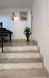 B&B Domus Piedigrotta
