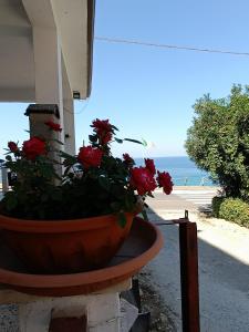 B&B Domus Piedigrotta