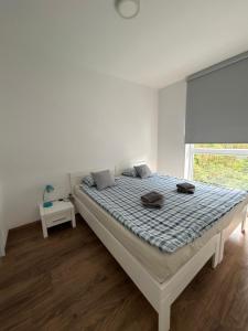 Cube Apartamenty