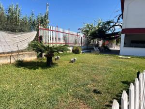 Case Balestrate piscina condivisa