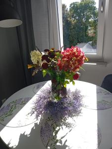 Apartament w centrum