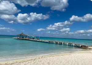 Cadaques Caribe Bayahibe Palmera